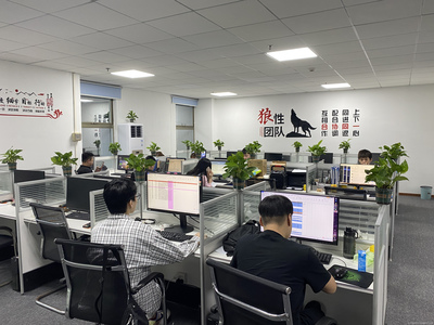 廣州星照信息咨詢 專業(yè)信息咨詢服務(wù)，賦能企業(yè)決策